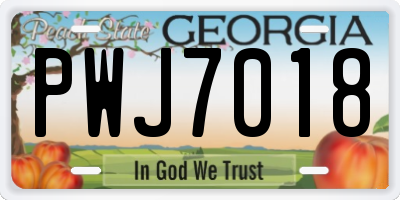GA license plate PWJ7018