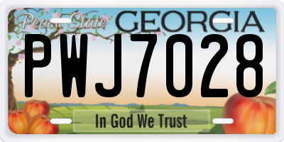 GA license plate PWJ7028