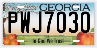 GA license plate PWJ7030
