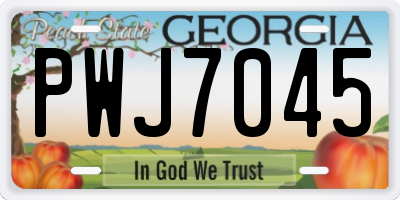 GA license plate PWJ7045