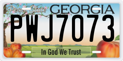 GA license plate PWJ7073
