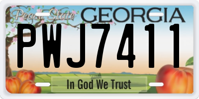 GA license plate PWJ7411