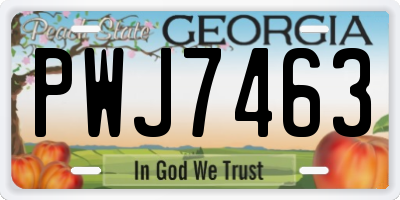 GA license plate PWJ7463