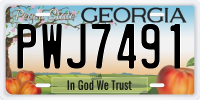 GA license plate PWJ7491