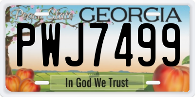 GA license plate PWJ7499