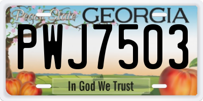 GA license plate PWJ7503