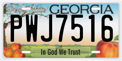 GA license plate PWJ7516
