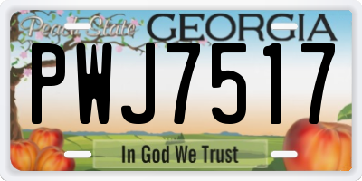 GA license plate PWJ7517