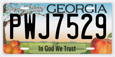 GA license plate PWJ7529
