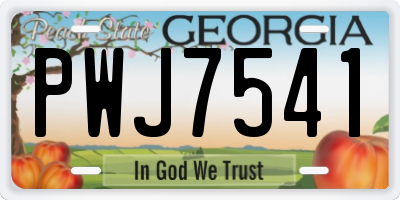 GA license plate PWJ7541