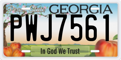GA license plate PWJ7561