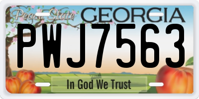 GA license plate PWJ7563