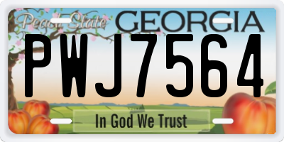 GA license plate PWJ7564