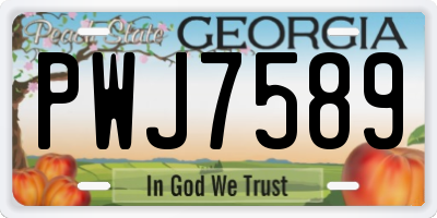 GA license plate PWJ7589