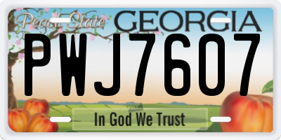 GA license plate PWJ7607