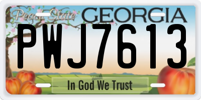 GA license plate PWJ7613