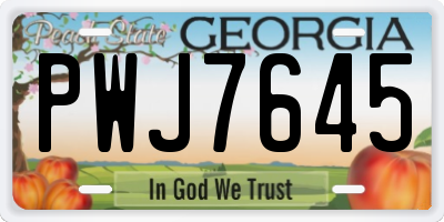 GA license plate PWJ7645