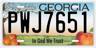 GA license plate PWJ7651