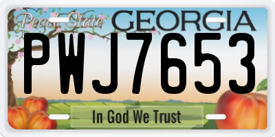 GA license plate PWJ7653