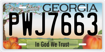 GA license plate PWJ7663