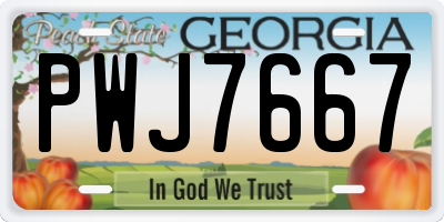GA license plate PWJ7667