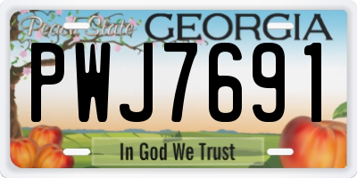 GA license plate PWJ7691