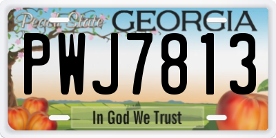 GA license plate PWJ7813