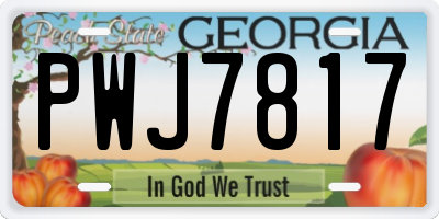GA license plate PWJ7817
