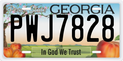 GA license plate PWJ7828