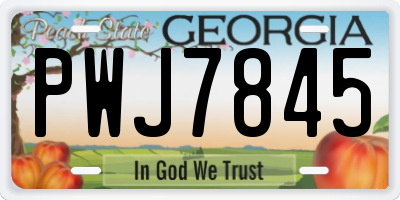 GA license plate PWJ7845
