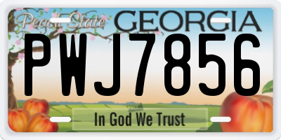 GA license plate PWJ7856