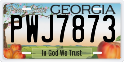 GA license plate PWJ7873