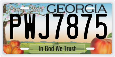 GA license plate PWJ7875