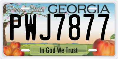 GA license plate PWJ7877