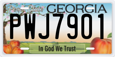 GA license plate PWJ7901