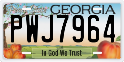 GA license plate PWJ7964