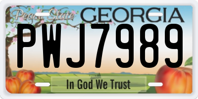GA license plate PWJ7989