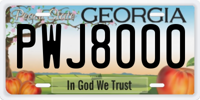 GA license plate PWJ8000