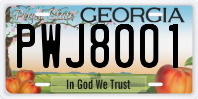 GA license plate PWJ8001