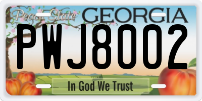 GA license plate PWJ8002