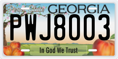 GA license plate PWJ8003