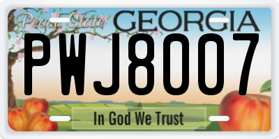 GA license plate PWJ8007