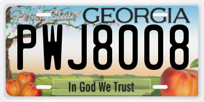GA license plate PWJ8008