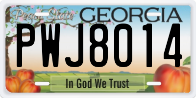 GA license plate PWJ8014