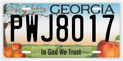 GA license plate PWJ8017