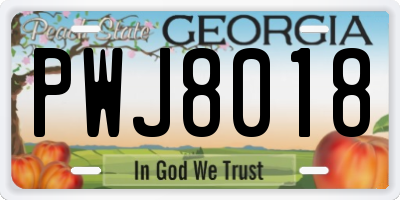 GA license plate PWJ8018