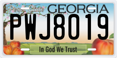 GA license plate PWJ8019