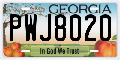 GA license plate PWJ8020