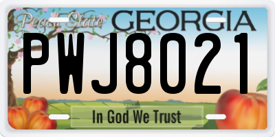 GA license plate PWJ8021