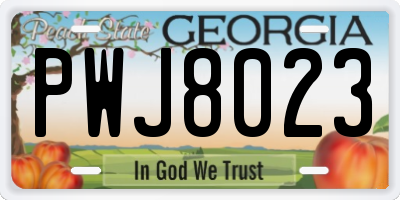 GA license plate PWJ8023
